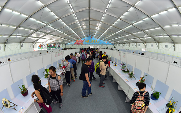 Plant Exhibition