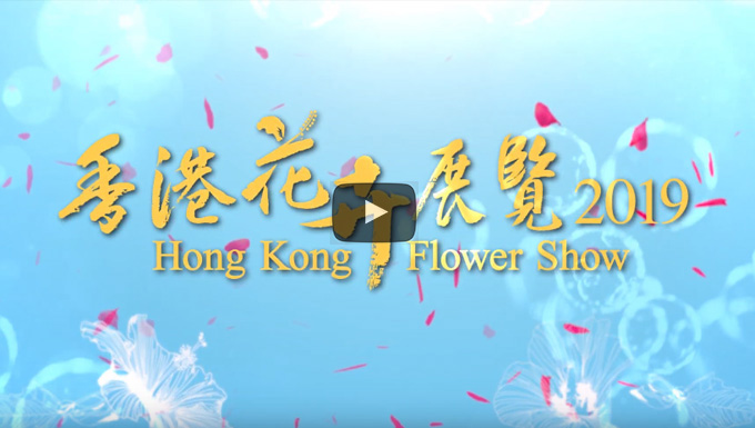Making of the Hong Kong Flower Show 2019