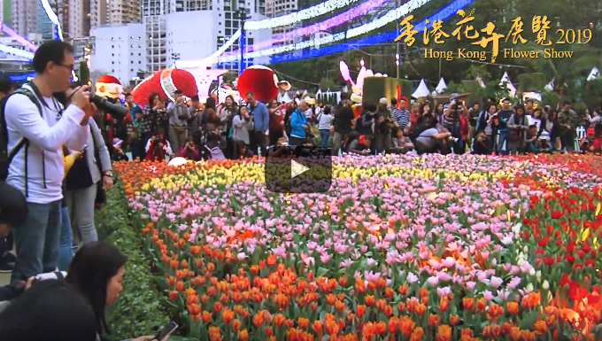 Highlights of Hong Kong Flower Show 2019