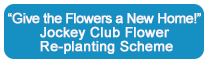 Give the Flowers a New Home! Jockey Club Flower Replanting Scheme