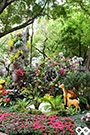 Fairy Garden (Fern Garden)