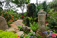 泰式庭院花圃