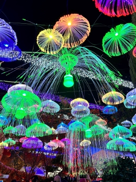 Housing Department <Delightful Green Homes with an Abundance of Blessings>