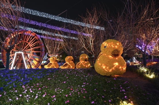 Joyful Return of Spring