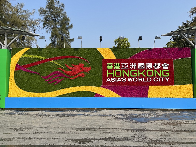 香港品牌 - 龍躍起舞