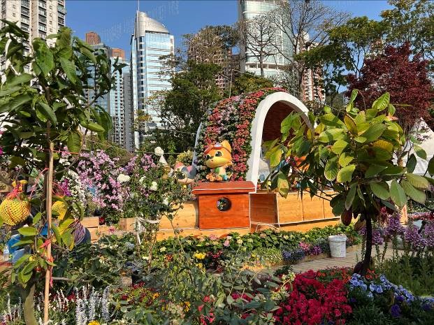 特色繡球花及食用植物花園