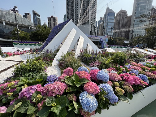 深圳市城市管理局