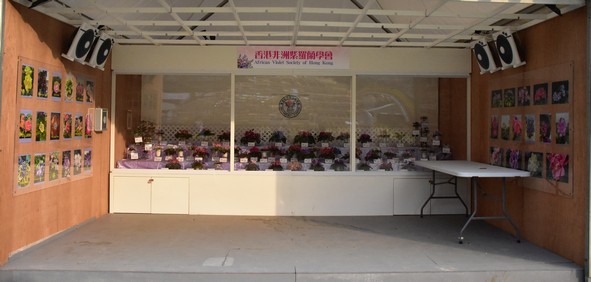 香港非洲紫羅蘭學會