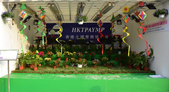 香港大埔青商協進會有限公司