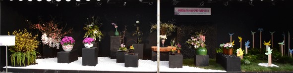 國際插花藝術學校有限公司