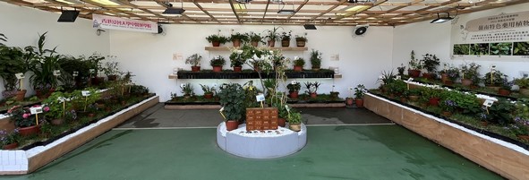 香港浸會大學中醫藥學院