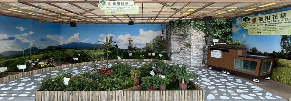 香港中文大學（中醫中藥研究所、中醫學院、香港中西醫結合醫學研究所、物業管理處園藝組）