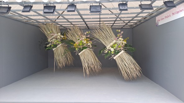 Blue Grass Project, Philippines