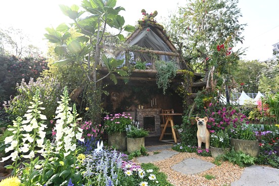 季軍：觀塘區 <雀舞翩翩>