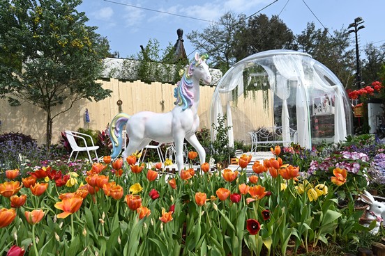 荃灣區 <嬌花卉球>