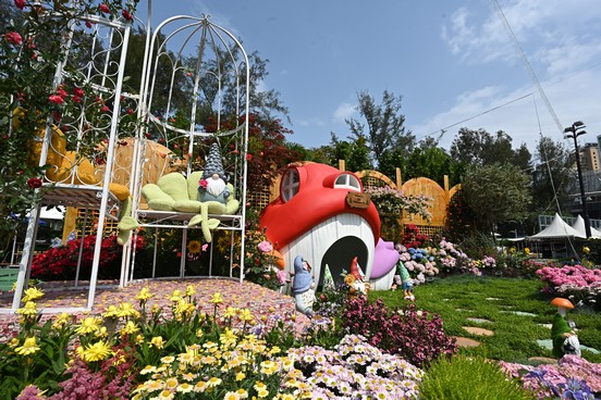 沙田區 <夢幻蘑菇屋>