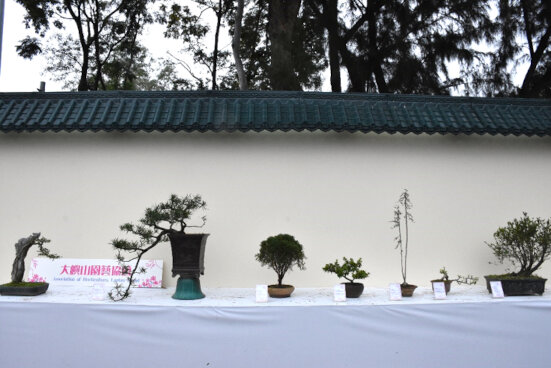 大嶼山園藝協會