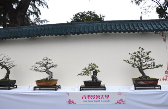 香港浸會大學
