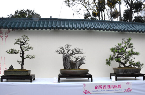 道教香港青松觀