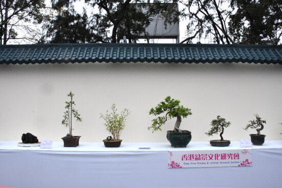 香港盆景文化研究會