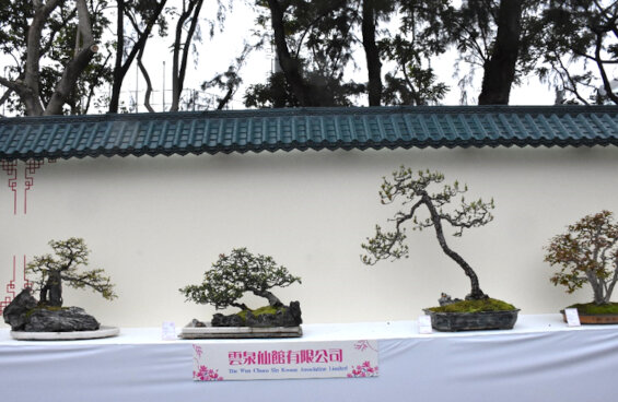 雲泉仙館有限公司