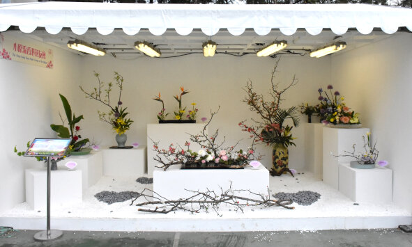 小原流香港花友会