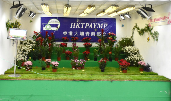 香港大埔青商协进会有限公司