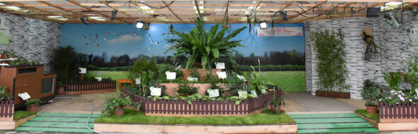 香港中文大学（中医药研究所、中医学院、香港中西医结合医学研究所、物业管理处园艺组）