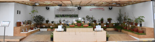 香港浸会大学中医药学院