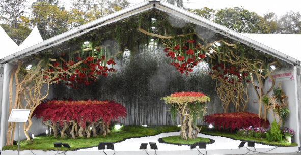 美国花艺学院香港教师协会