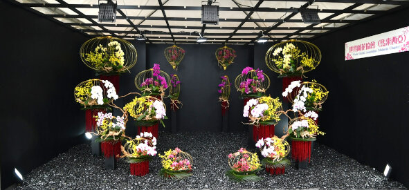 世界兰花协会 （马来西亚）