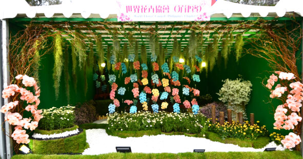 世界花卉协会 （菲律宾）