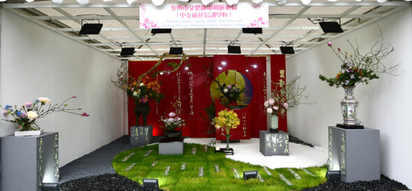 泰兴市文体广电和旅游局（中泰插花培训学校）