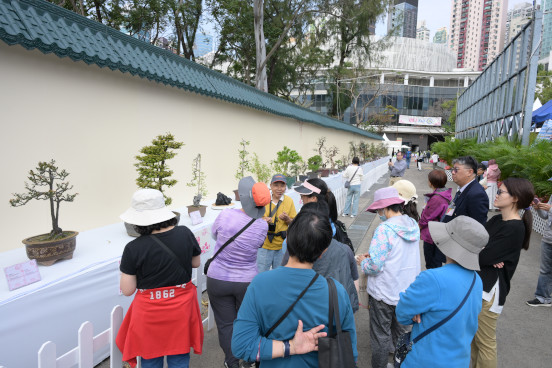 盆景導賞活動