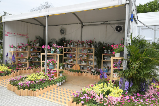 賽馬會一人一花計劃盆栽展品