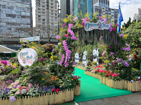 香港海洋公园 <竹林深处有大熊猫>