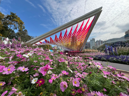 建筑署 <秋英之舞 – 摇曳中绽放的花朵>