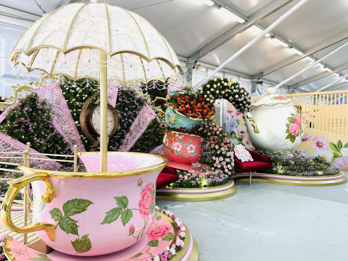 大茶壶与小人国