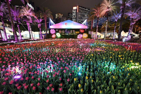 郁金香花海