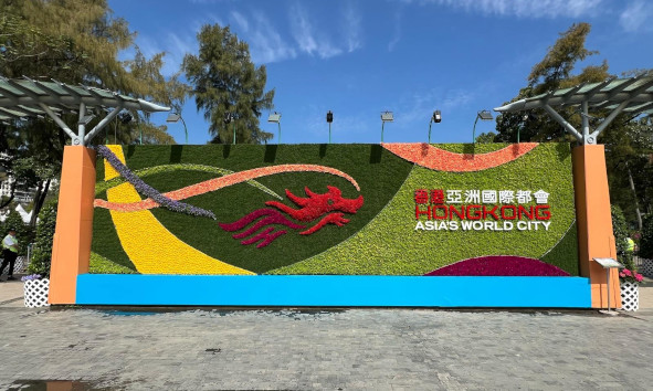 香港品牌 - 龙跃起舞