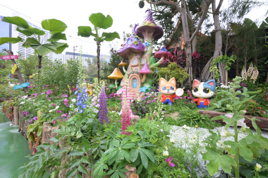 深水埗 <梦游仙境>