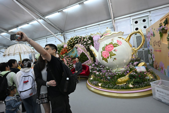 大茶壺與小人國