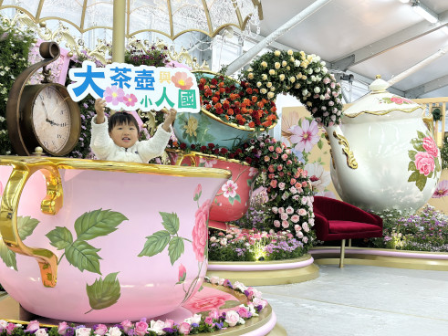 大茶壺與小人國