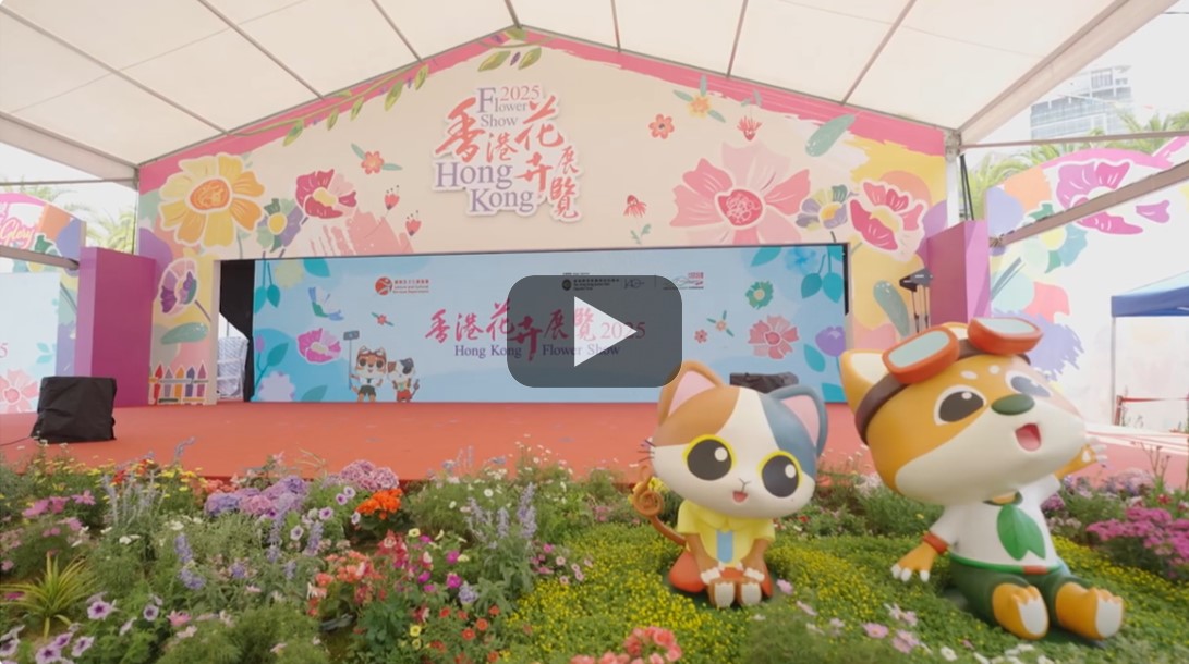 环保回收日精华片段