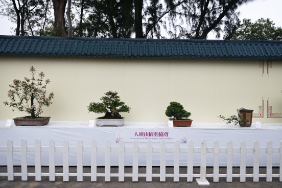 大嶼山園藝協會