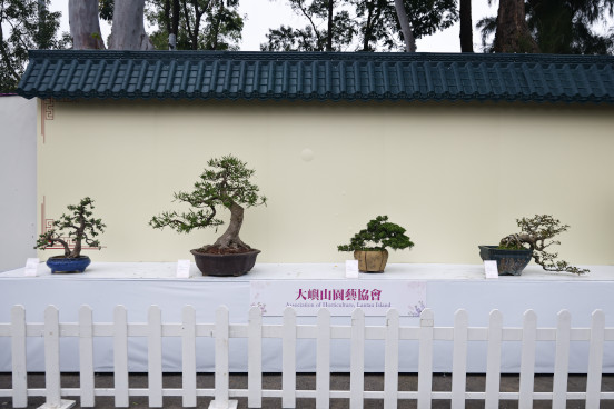 大嶼山園藝協會