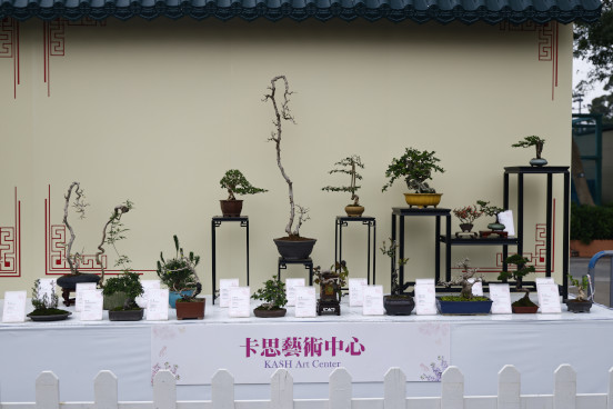 卡思藝術中心