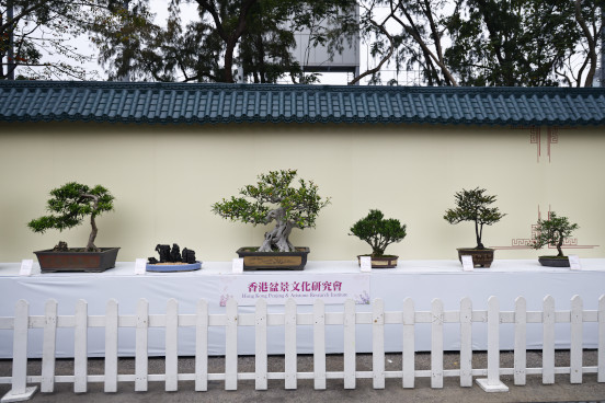 香港盆景文化研究會