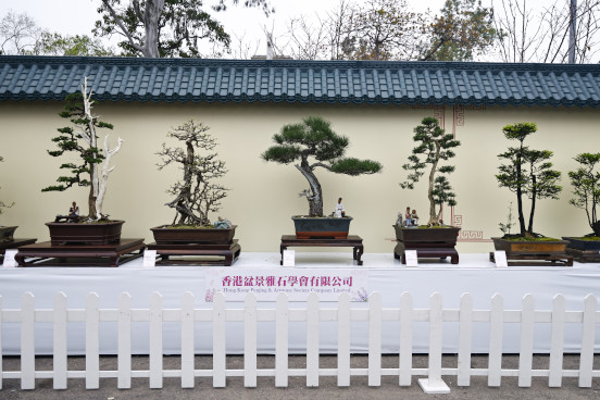 香港盆景雅石學會有限公司