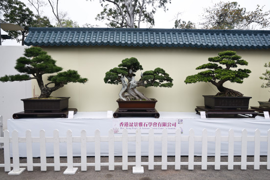 香港盆景雅石學會有限公司